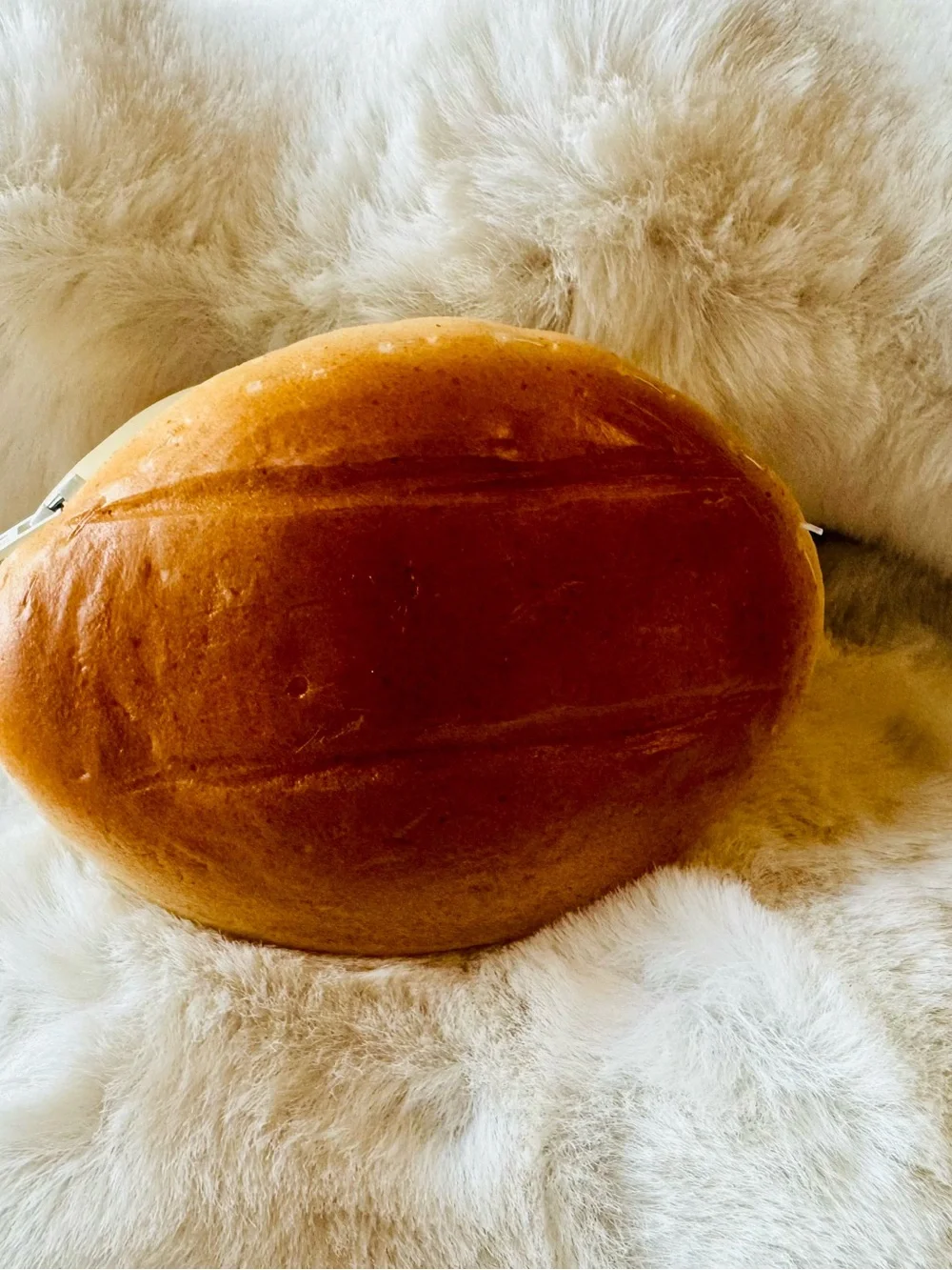 Realistic Bread Telera Bread Coin Purse Keychain | Mexican Pan Dulce Wallet